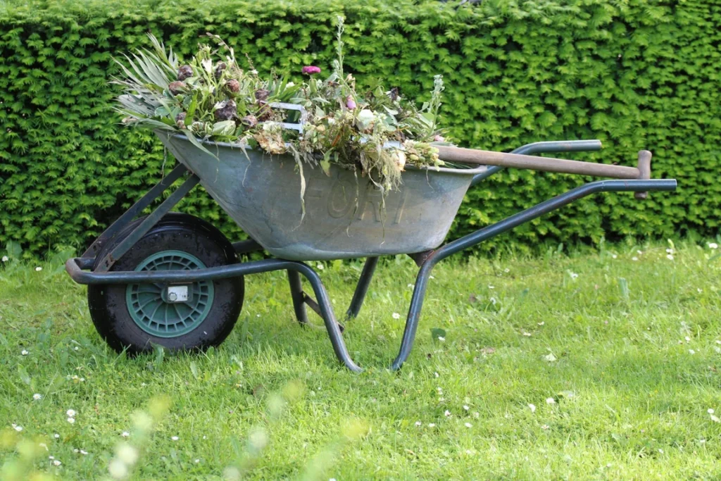 Entretien de jardin à Perpignan avec évacuation de déchets verts, ramassage manuel après débroussaillage, désherbage des massifs, prestations de jardinier-paysagiste local pour villas, copropriétés et résidences secondaires dans les Pyrénées-Orientales, intervention rapide à Pia, Canet-en-Roussillon, Cabestany et alentours