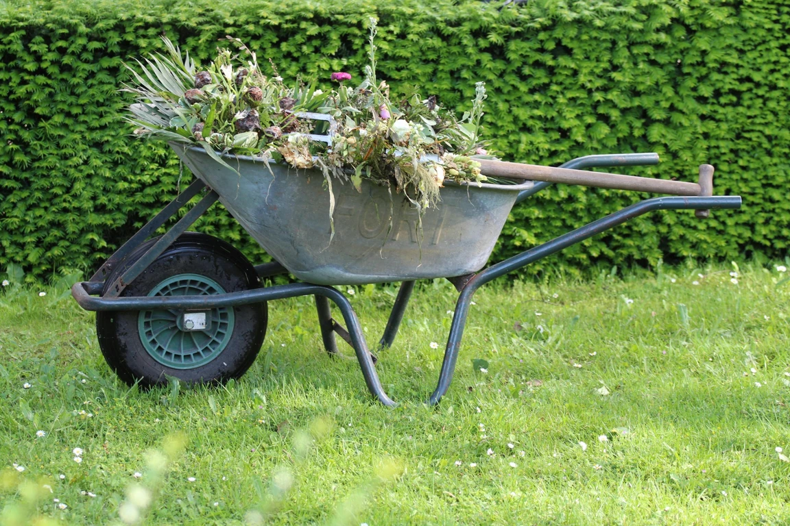 Entretien de jardin à Perpignan avec évacuation de déchets verts, ramassage manuel après débroussaillage, désherbage des massifs, prestations de jardinier-paysagiste local pour villas, copropriétés et résidences secondaires dans les Pyrénées-Orientales, intervention rapide à Pia, Canet-en-Roussillon, Cabestany et alentours