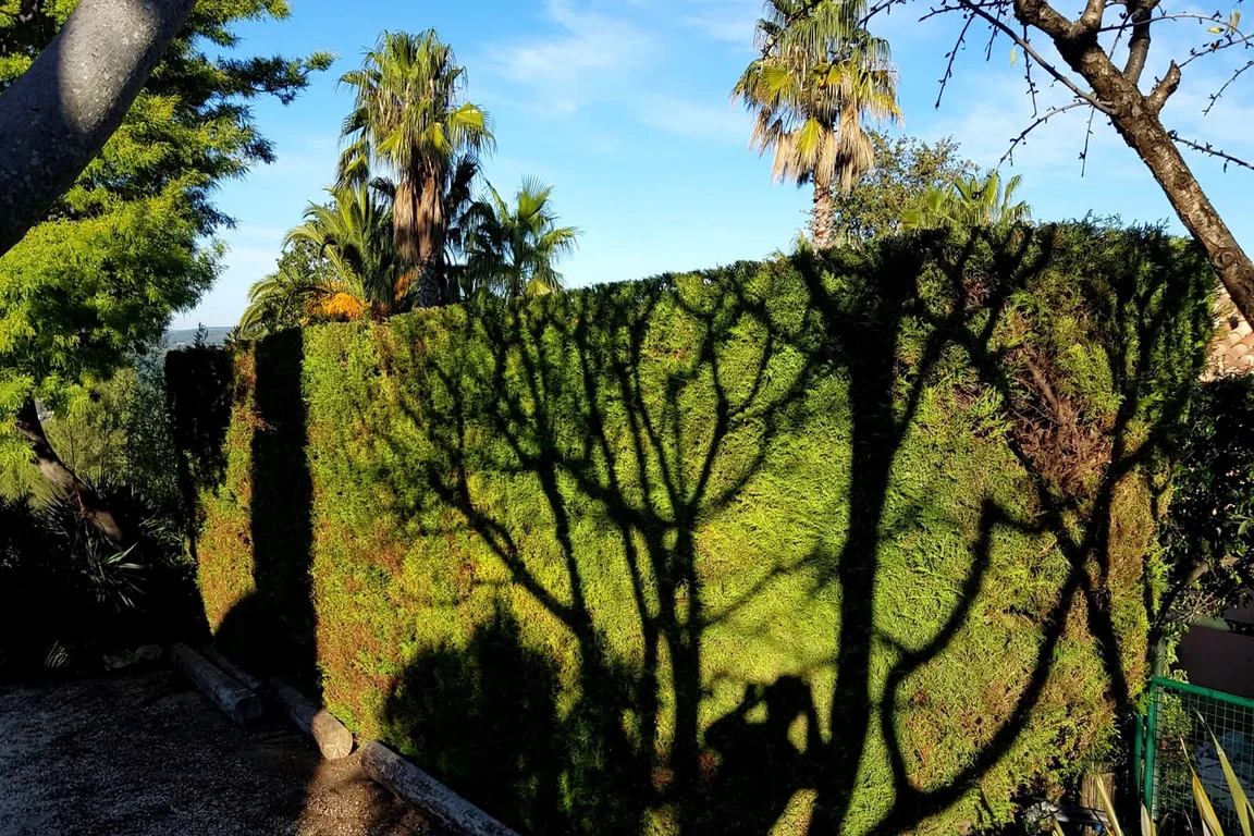Travaux de nettoyage de haie et débroussaillage à Saleilles par artisan jardinier qualifié, entretien de haies hautes, coupe des branches basses, élimination des végétaux encombrants, intervention dans le cadre d’un contrat d’entretien annuel dans les Pyrénées-Orientales : Saleilles, Cabestany, Canet-en-Roussillon, Saint-Cyprien et villages autour de Perpignan