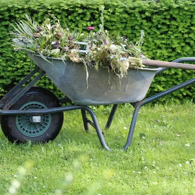 Débroussaillage et nettoyage de jardin à Argelès-sur-Mer (66) – ramassage des déchets verts et entretien d’espaces extérieurs par Espaces Verts J-Baptiste.