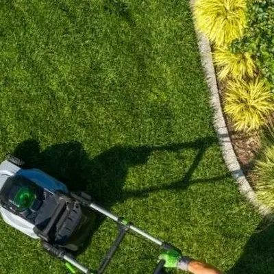 Entretien de jardin à Saleilles (66) – taille de haies, tonte et nettoyage.